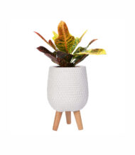 Honeycomb Style - Image 2